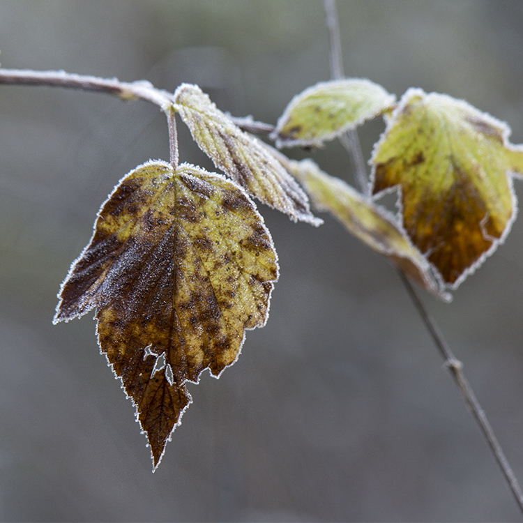 0001 SAM_5369 Kopie.jpg